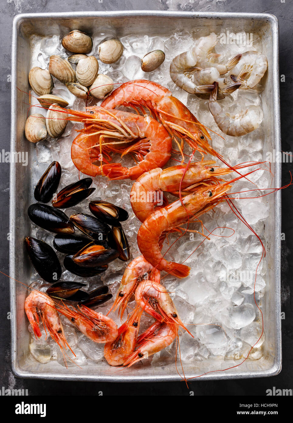 Cóctel de mariscos crudos y frescos con mejillones, almejas, camarones,  langostinos y Vongole en bandeja metálica sobre hielo Fotografía de stock -  Alamy