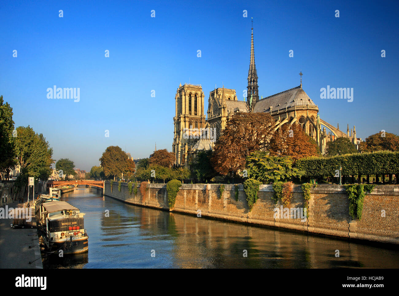 La Catedral de Notre Dame en Île de la Cité, una de las islas en el río