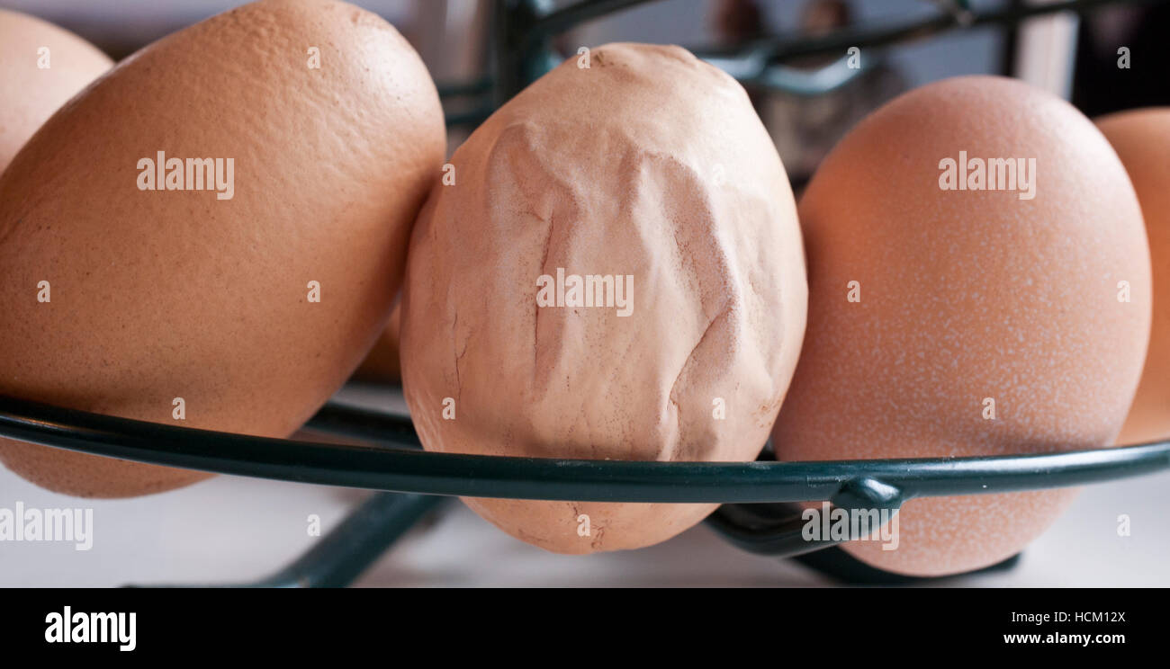Los huevos vienen en todas las formas y tamaños. Foto de stock