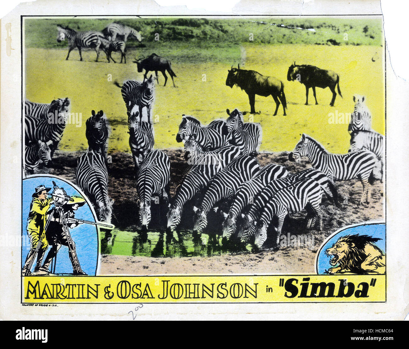 SIMBA: El rey de las bestias, 1928 Foto de stock