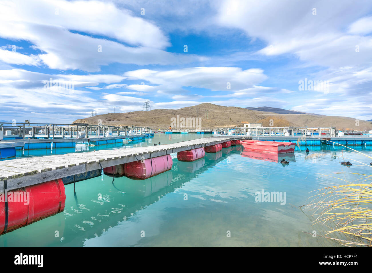 Piscifactorías de salmón flotando sobre las aguas del Brazo Wairepo glacial, Twizel, Isla del Sur, Nueva Zelanda Foto de stock