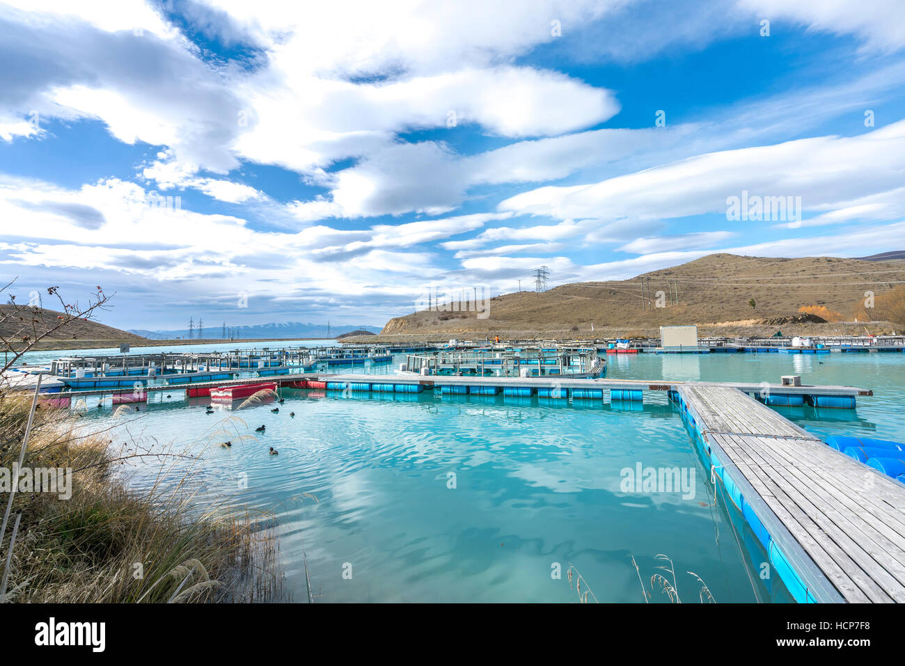 Piscifactorías de salmón flotando sobre las aguas del Brazo Wairepo glacial, Twizel, Isla del Sur, Nueva Zelanda Foto de stock