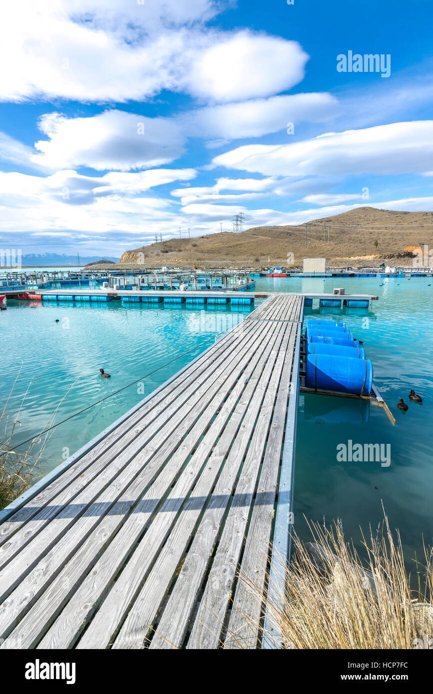 Piscifactorías de salmón flotando sobre las aguas del Brazo Wairepo glacial, Twizel, Isla del Sur, Nueva Zelanda Foto de stock