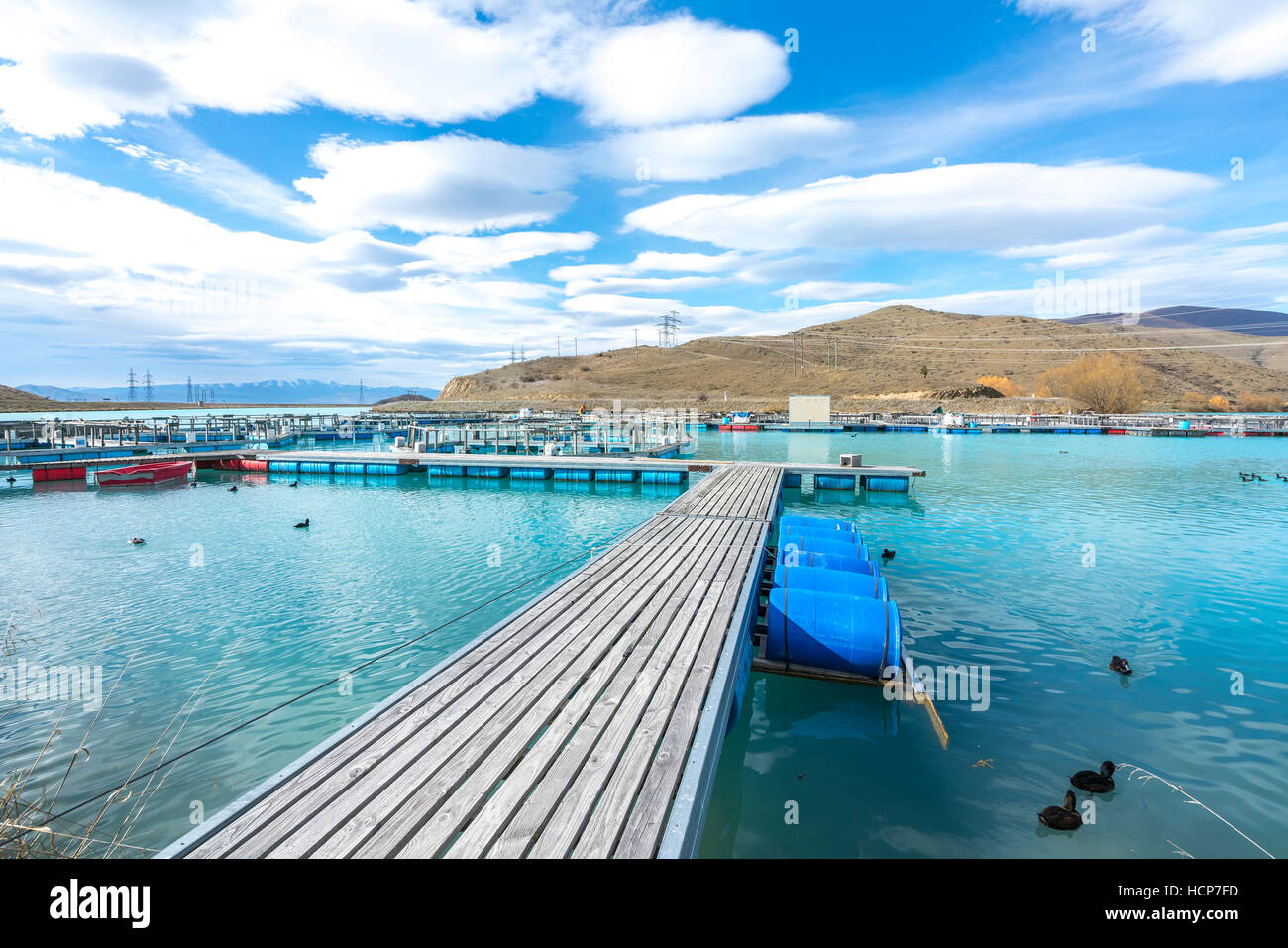 Piscifactorías de salmón flotando sobre las aguas del Brazo Wairepo glacial, Twizel, Isla del Sur, Nueva Zelanda Foto de stock