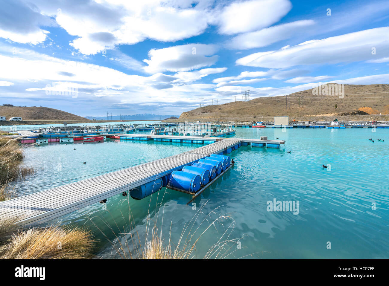 Piscifactorías de salmón flotando sobre las aguas del Brazo Wairepo glacial, Twizel, Isla del Sur, Nueva Zelanda Foto de stock