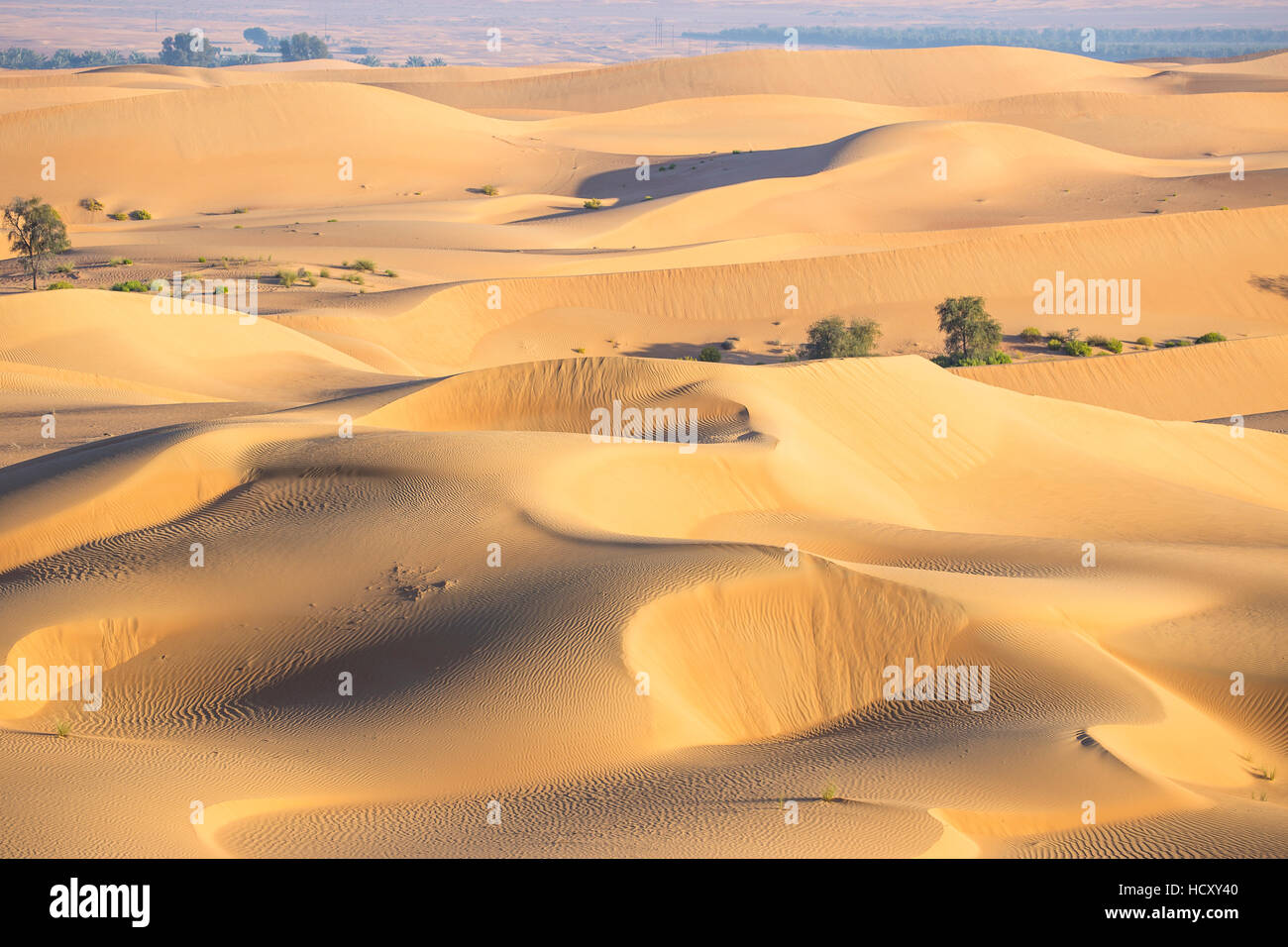 Desierto Remah, Al Ain, Abu Dhabi, Emiratos Árabes Unidos, Oriente Medio  Fotografía de stock - Alamy