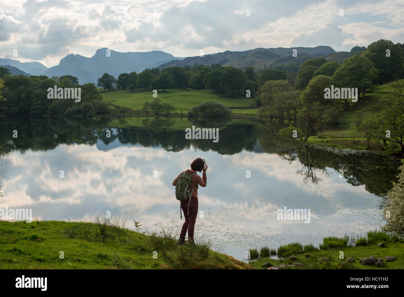 Una mujer mira a pie de Tarn, Lake District National Park, Cumbria, Reino Unido Foto de stock