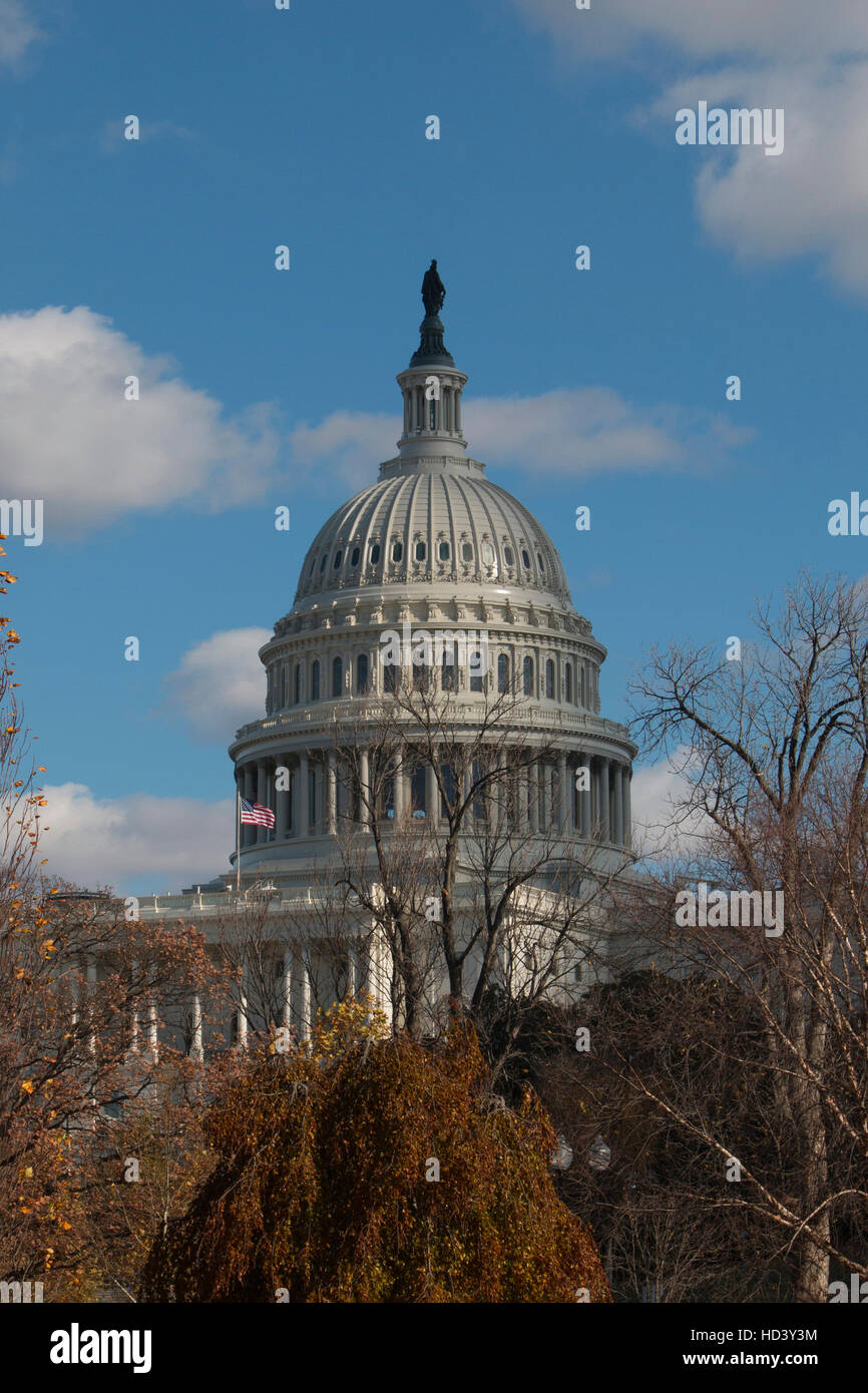 Capitolio de EE.UU., West front, un soleado día de invierno, con nubes hinchadas. Piscina reflectante está en primer plano. Domo está recién limpiada. Foto de stock