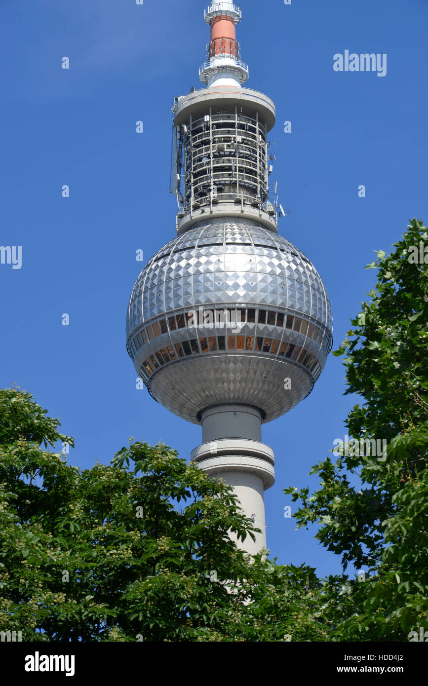 Fernsehturm, Panoramastrasse, Mitte, Berlin, Deutschland Foto de stock