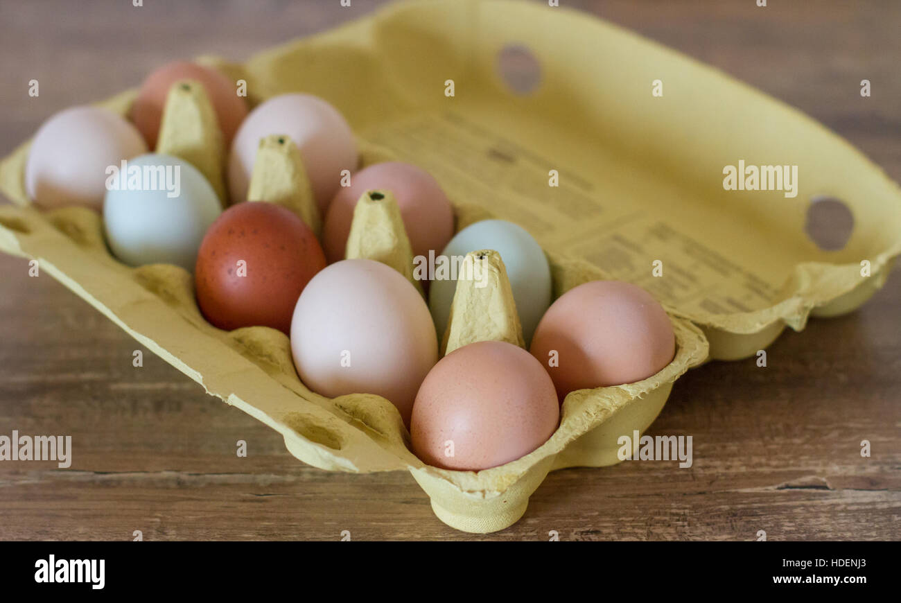Free Range huevos de gallina Foto de stock