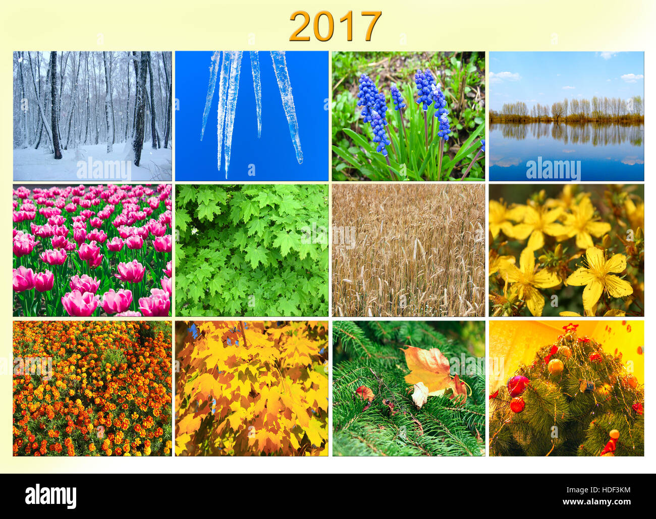 Blanco con doce imágenes coloreadas de la naturaleza para el calendario del próximo año 2017 Foto de stock