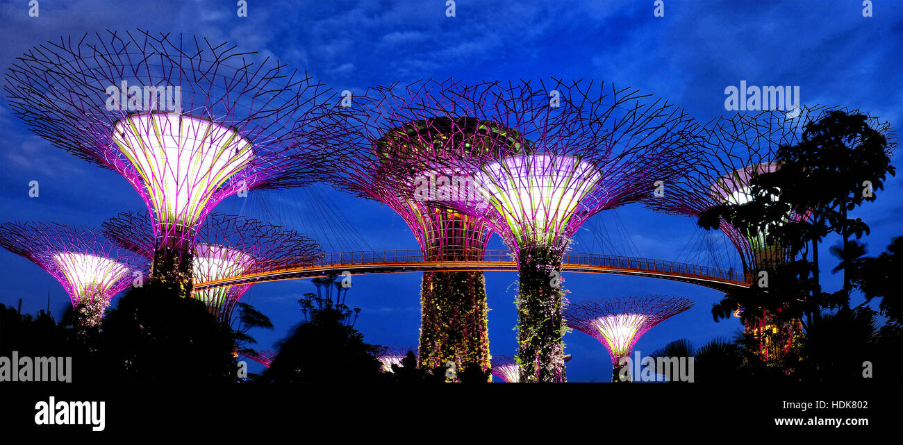 Supertree Grove en los jardines junto a la bahía, Singapur Foto de stock