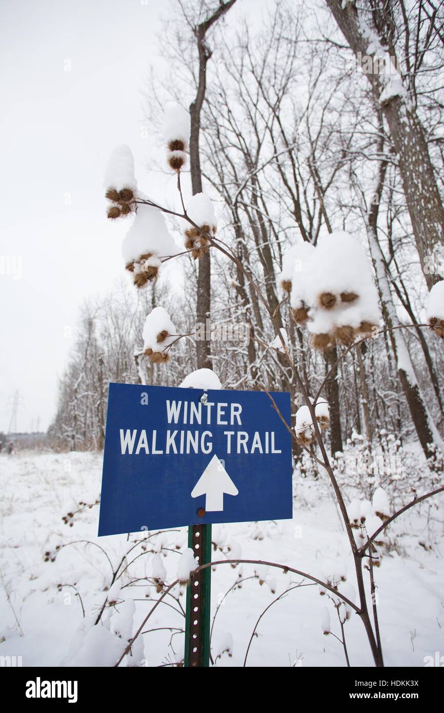 Un letrero que dice "ruta de senderismo de invierno' en Pike Island, una parte de Fort Snelling State Park, en Minneapolis, Minnesota, USA. Foto de stock