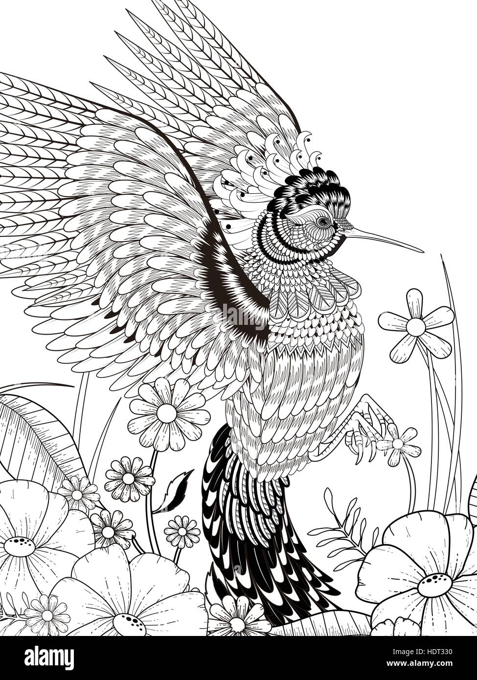 Precioso colibrí página para colorear en línea exquisita Imagen Vector de  stock - Alamy