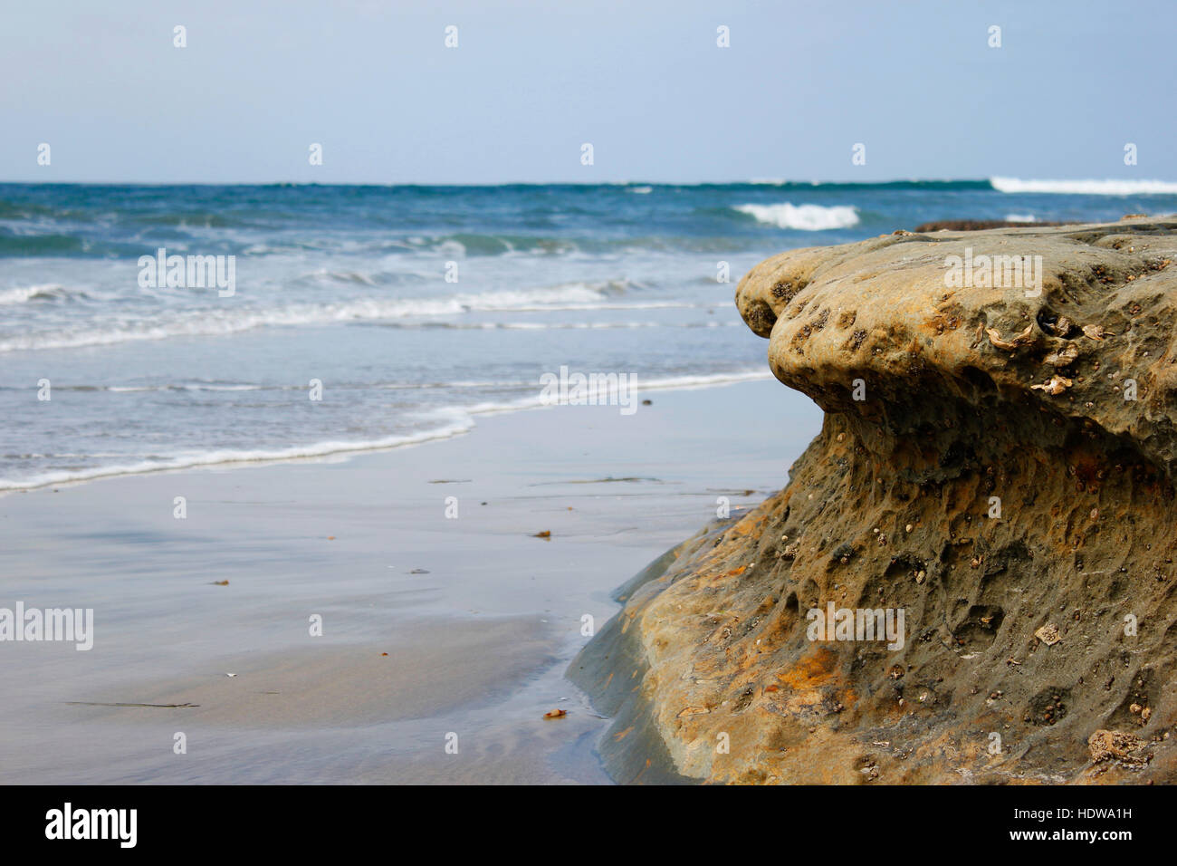 Formación rocosa con conchas y la vida marina en la playa con el agua y las olas detrás de él. Foto de stock
