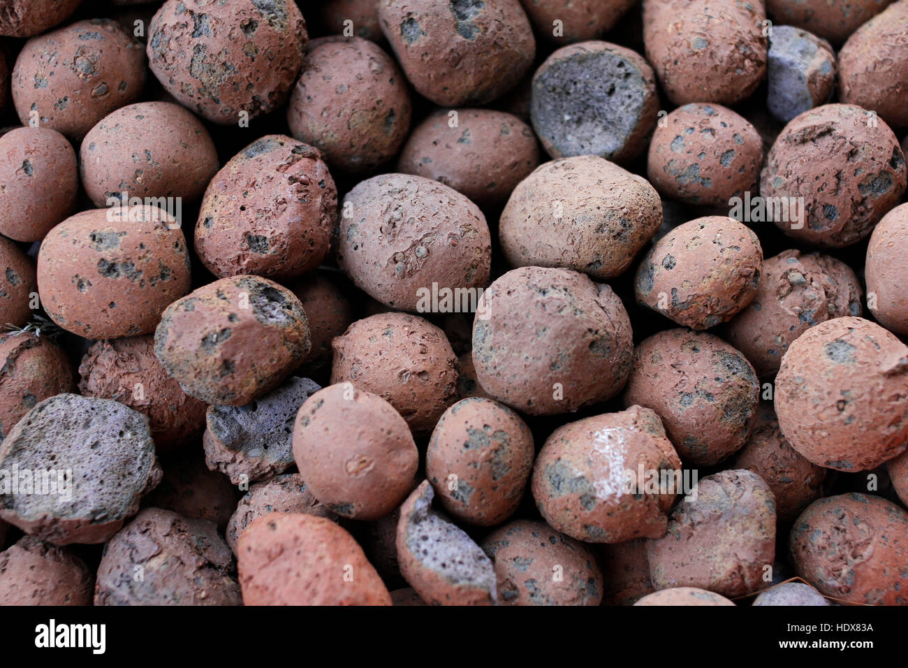 Textura pequeñas piedras en tonos neutros Foto de stock