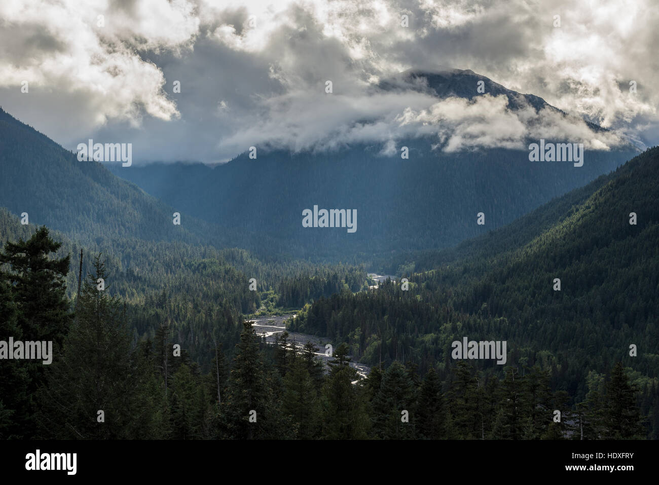 Las nubes colgando sobre el valle del Río Blanco en Mt. Parque Nacional Monte Rainier, en Washington. Foto de stock