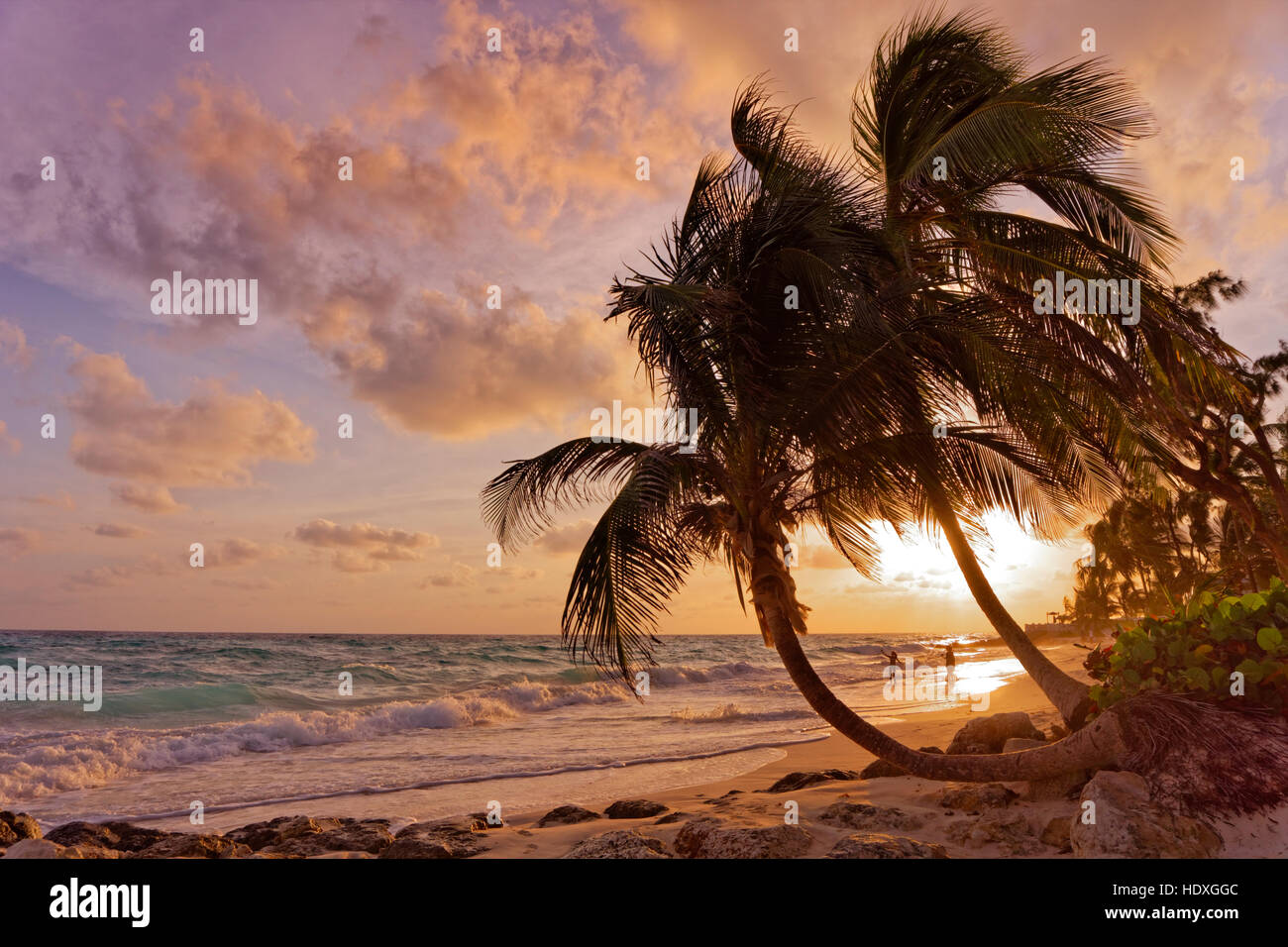 Atardecer en la playa de Dover, St. Lawrence Gap, South Coast, Barbados, Caribe. Foto de stock