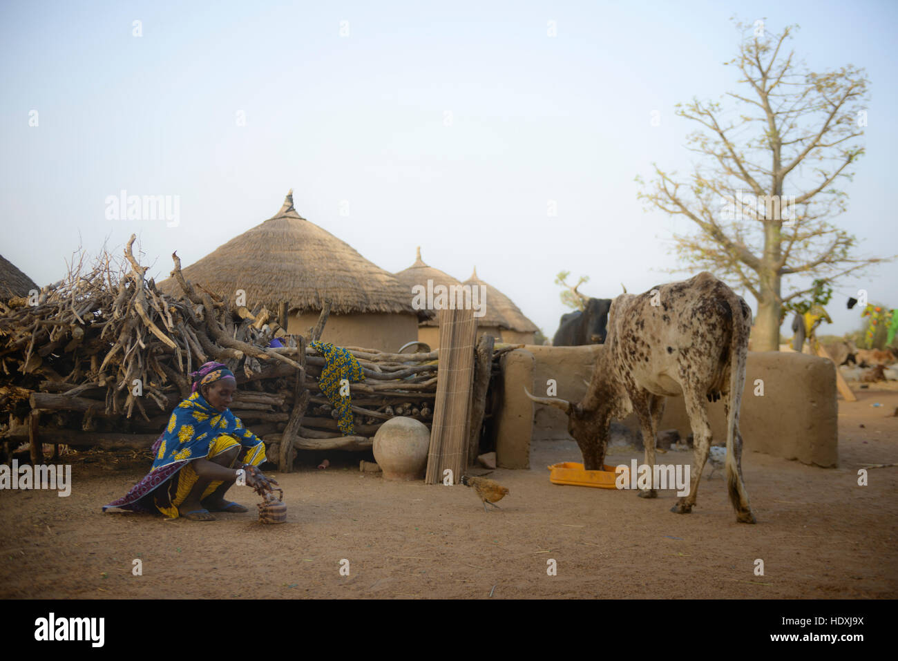 La vida rural en una aldea Fulani del Sahel en el noreste de Burkina Faso Foto de stock