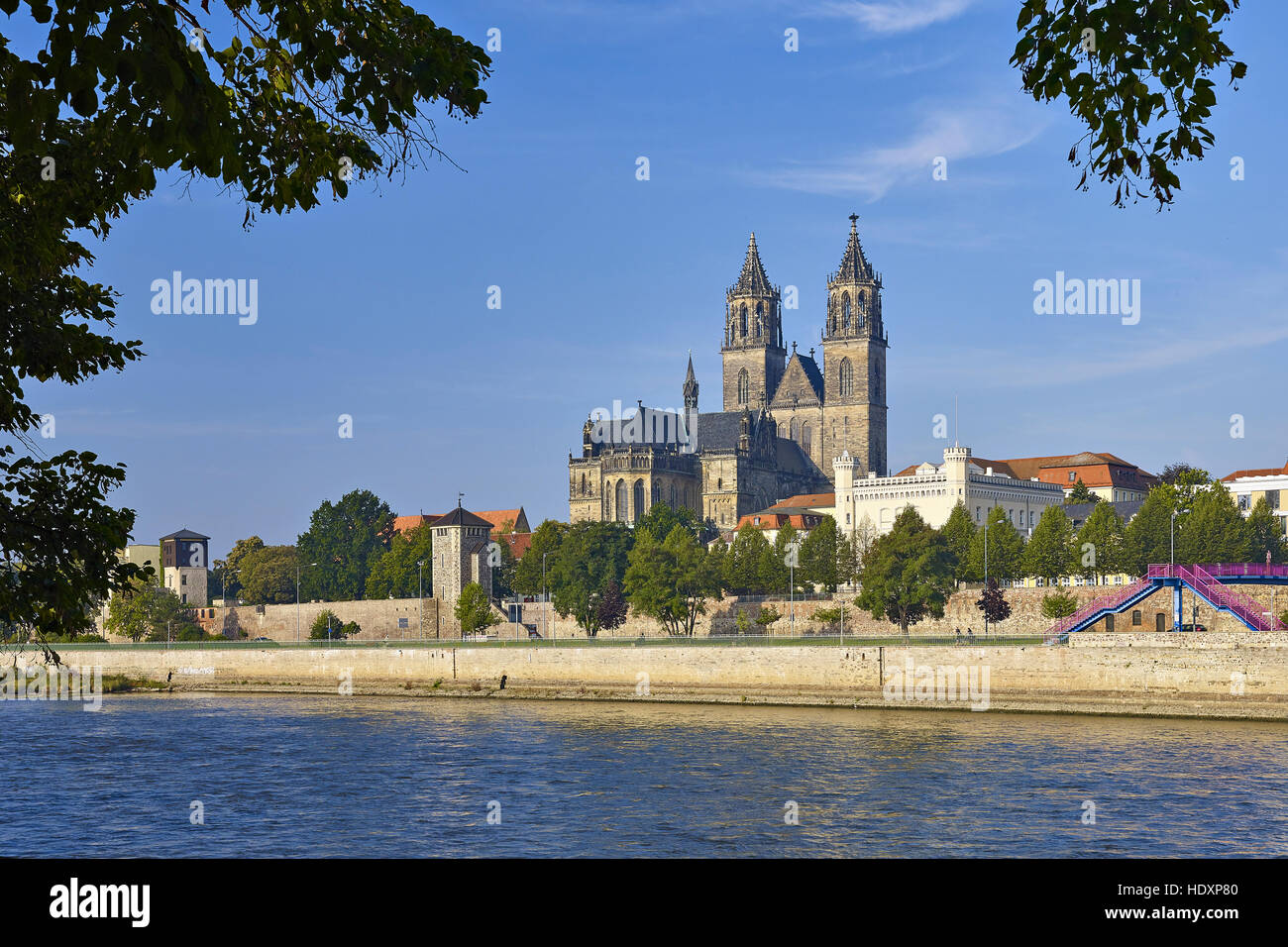 La Catedral de Magdeburgo, Magdeburgo, Sajonia-Anhalt, Alemania Foto de stock