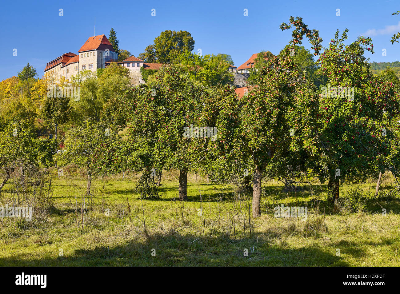 Creuzburg castillo con árboles frutales en Creuzburg, Turingia, Alemania Foto de stock