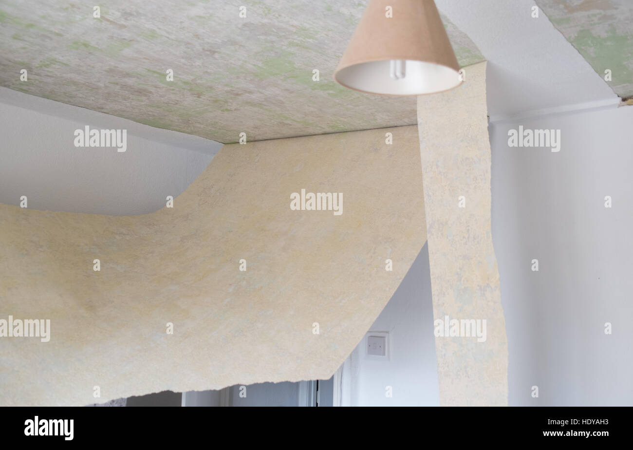 Bricolaje Decoracion De Mi Propiedad Casa En Gales Occidental