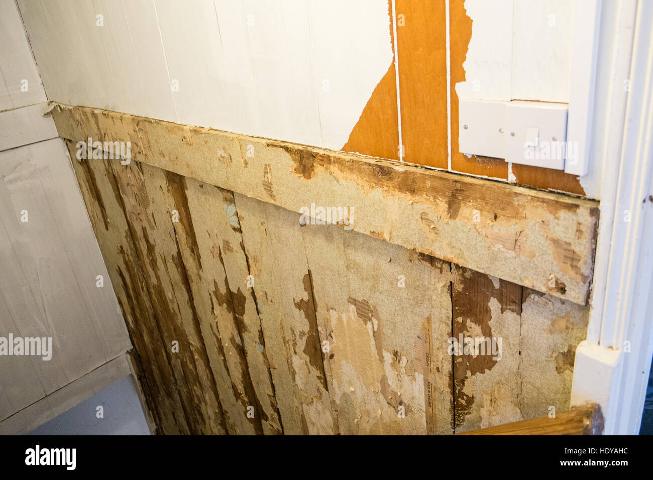 Bricolaje Decoracion De Mi Propiedad Casa En Gales Occidental