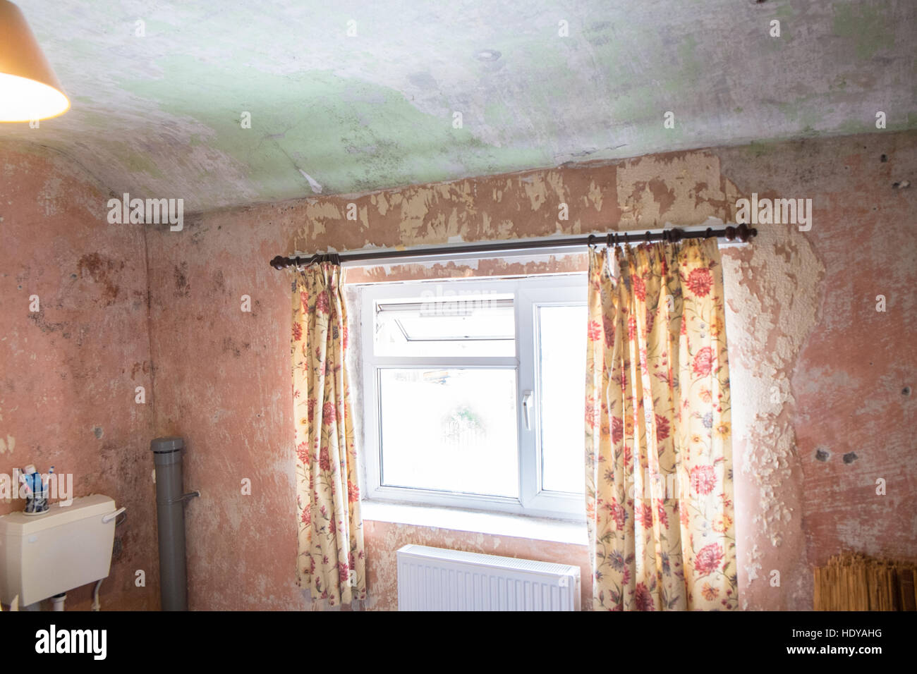 Bricolaje Decoracion De Mi Propiedad Casa En Gales Occidental