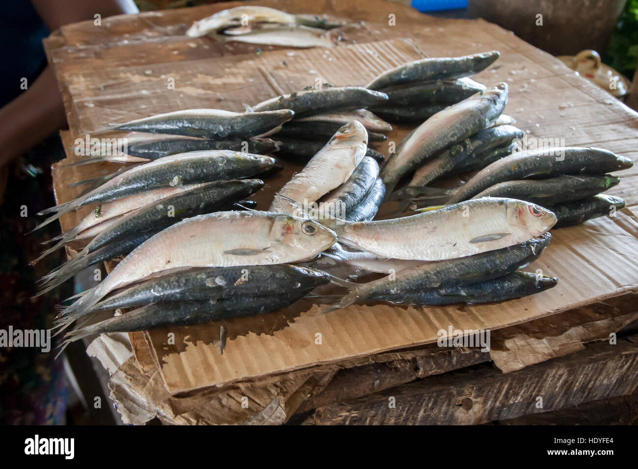 En un mercado de pescado de Sierra Leona Foto de stock