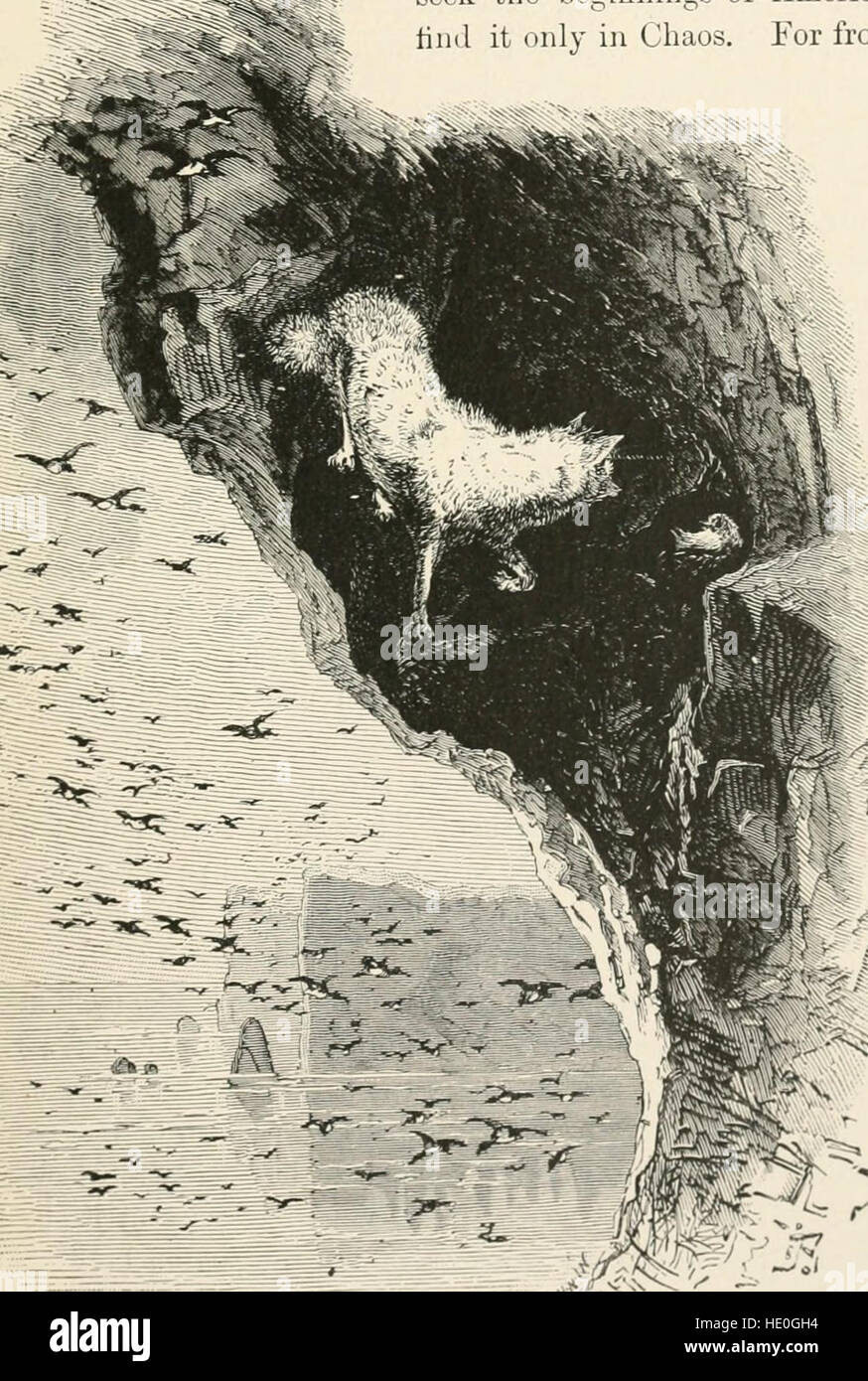 Clave para las aves de América del Norte. Contiene una reseña concisa de cada una de las especies de aves que viven y fósiles en la actualidad conoce desde el continente al norte de la frontera de Estados Unidos y México, incluido Foto de stock