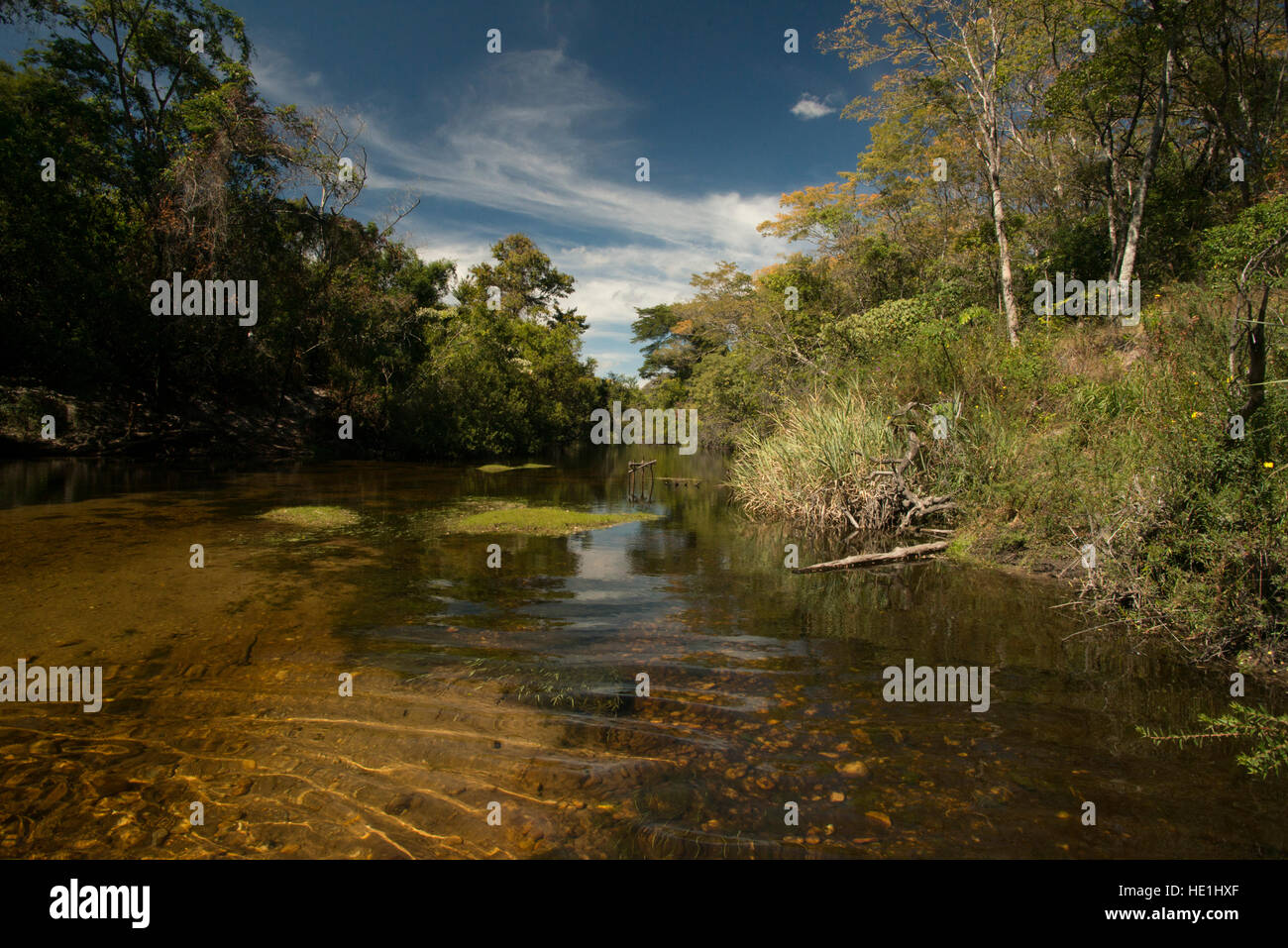 El Parque Nacional Serra do Cipo. Es la zona de la sabana más conservadas en Brasil. Foto de stock