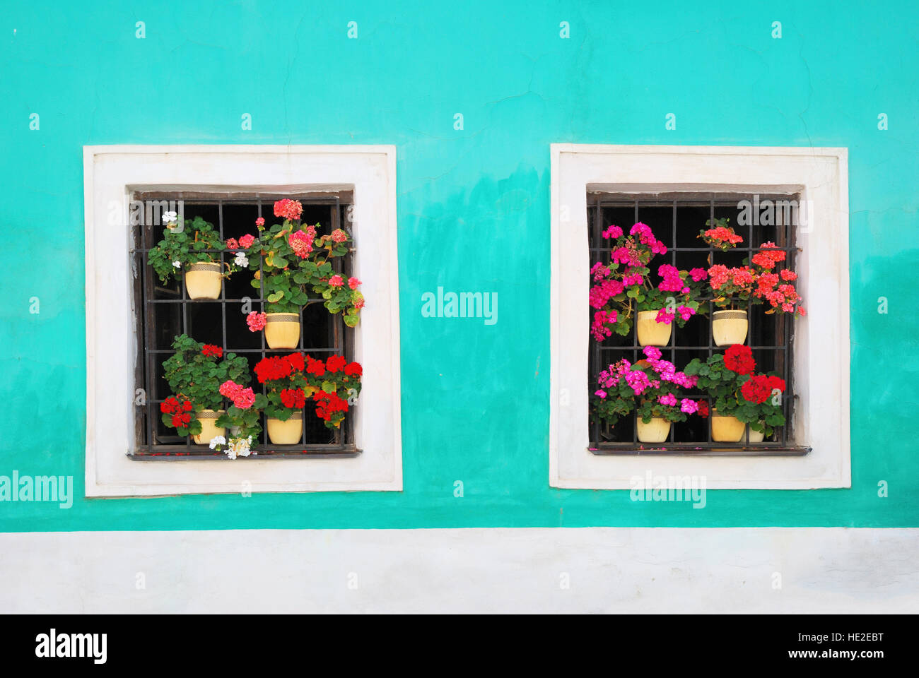 Dos ventanas decoradas con coloridas flores frescas Foto de stock