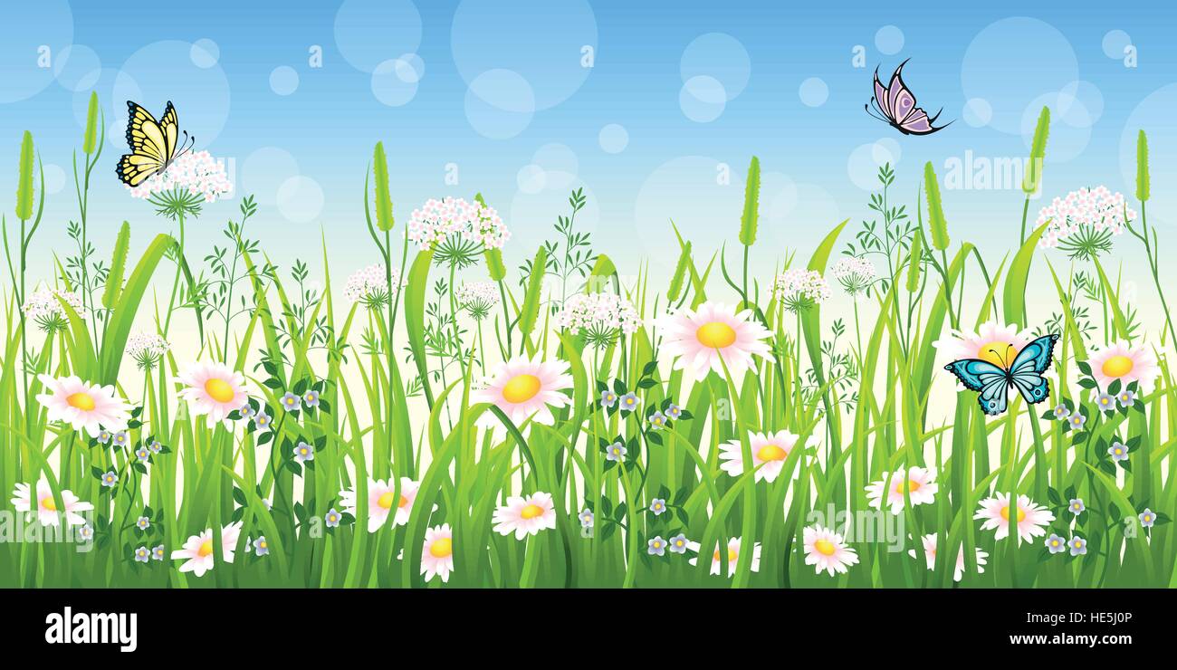 Prado de flores en verano con mariposas Ilustración del Vector