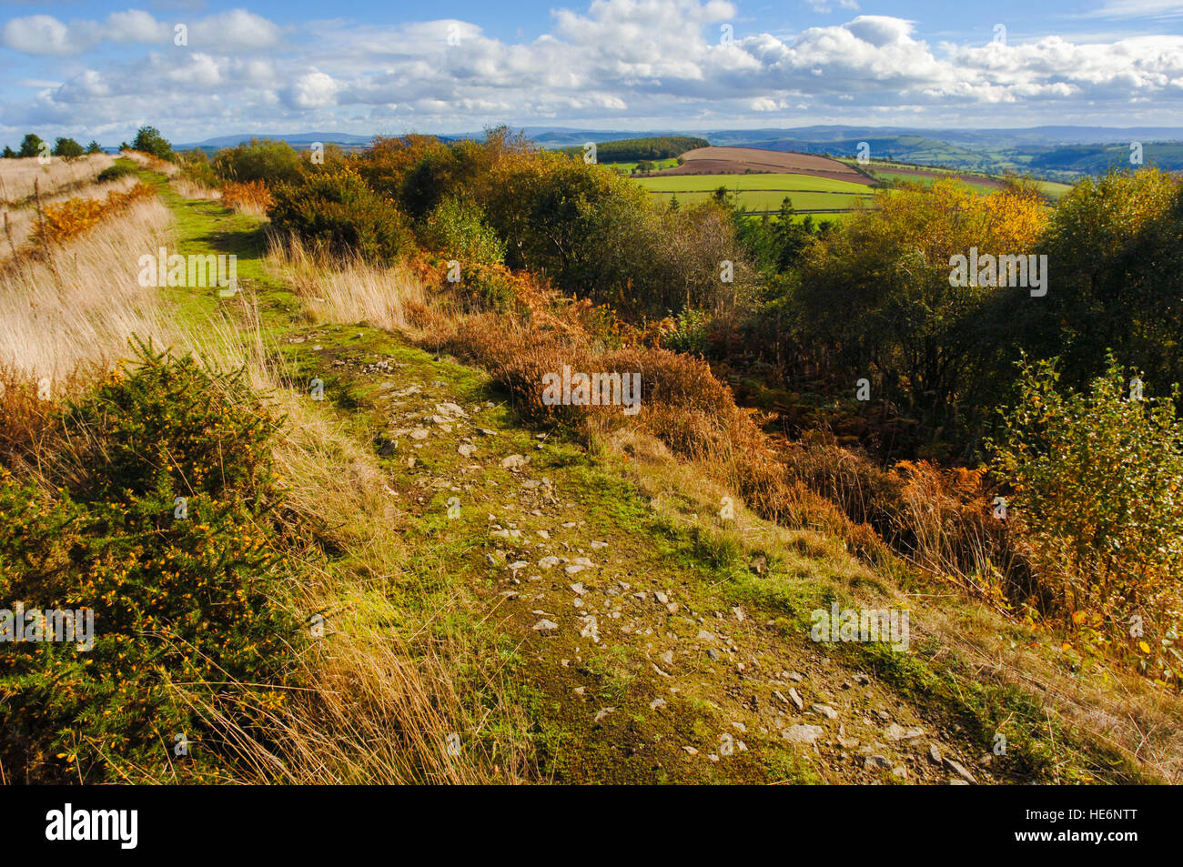 Enterrar las zanjas de los castros de la edad de hierro cerca de Clun, Shropshire, Inglaterra, Reino Unido. Foto de stock