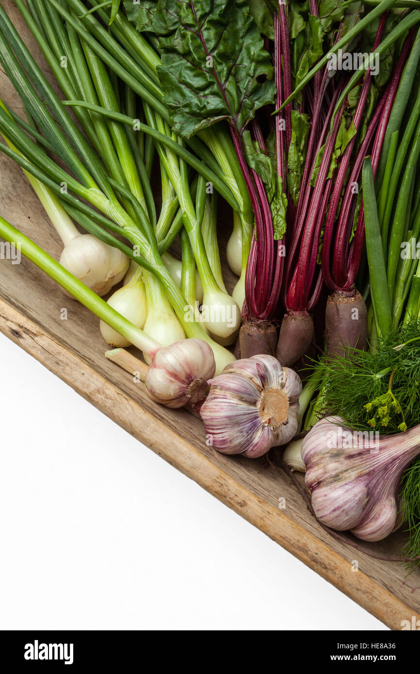 Verduras de verano fresco - ajo,cebolla dills,s,remolacha roja,el perejil. Foto de stock