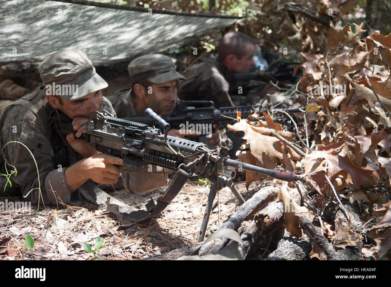 Un grupo de estudiantes, Ranger del Ejército de los Estados Unidos asignados a la Brigada Aérea y la capacitación del personal de guardaparques, tira de seguridad en una posición de combate en una base de patrulla en el Timón, campamento base de la Fuerza Aérea de Eglin, Florida, 8 de julio de 2016. La fase de Florida Escuela Ranger es la tercera y última fase que estos estudiantes Ranger debe completar para ganar el codiciado Ranger Tab. El Sgt. Austin Berner Foto de stock