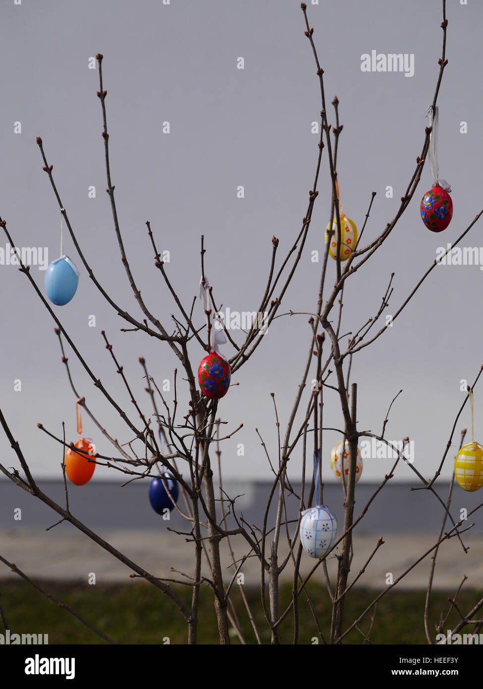 Huevos de Pascua en las ramas colgantes Foto de stock