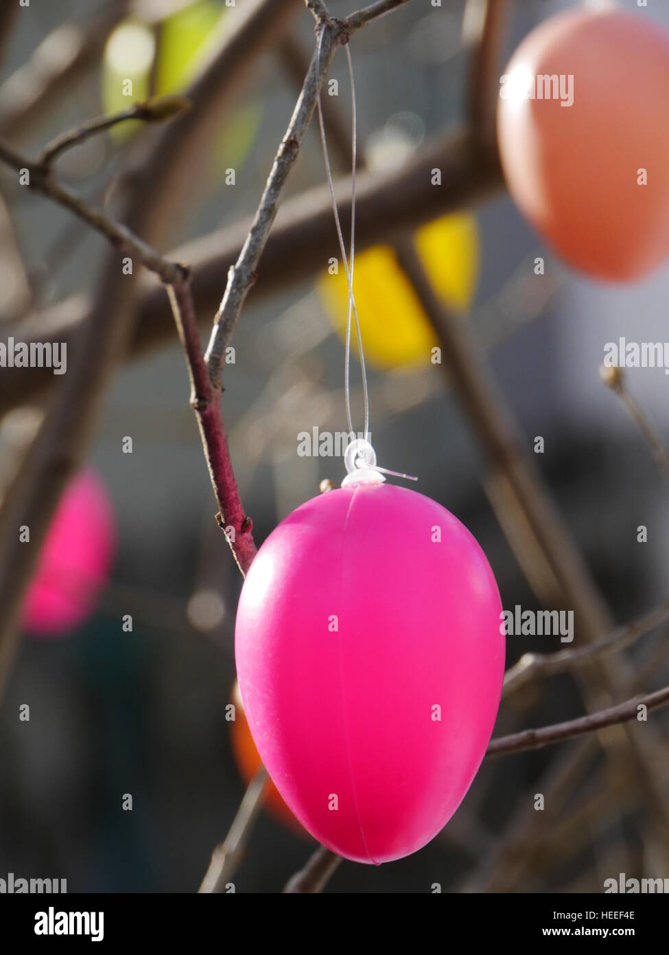 Huevos de Pascua en las ramas colgantes Foto de stock