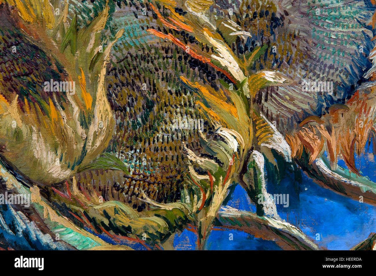 Detalle de cuatro Girasoles destinado a semilla, de Vincent van Gogh, 1887, Kroller-Muller Museum, el Parque Nacional De Hoge Veluwe, Otterlo, Países Bajos, Europa Foto de stock