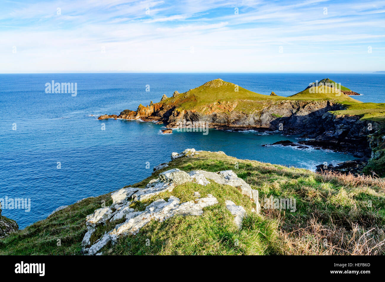 Las rabadillas a Pentire head cerca Polzeath en Cornwall, Inglaterra, Reino Unido. Foto de stock