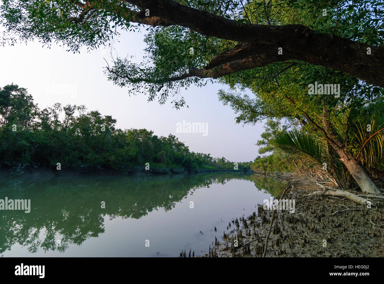 Parque Nacional Sundarbans el bosque de mangle, División de Khulna