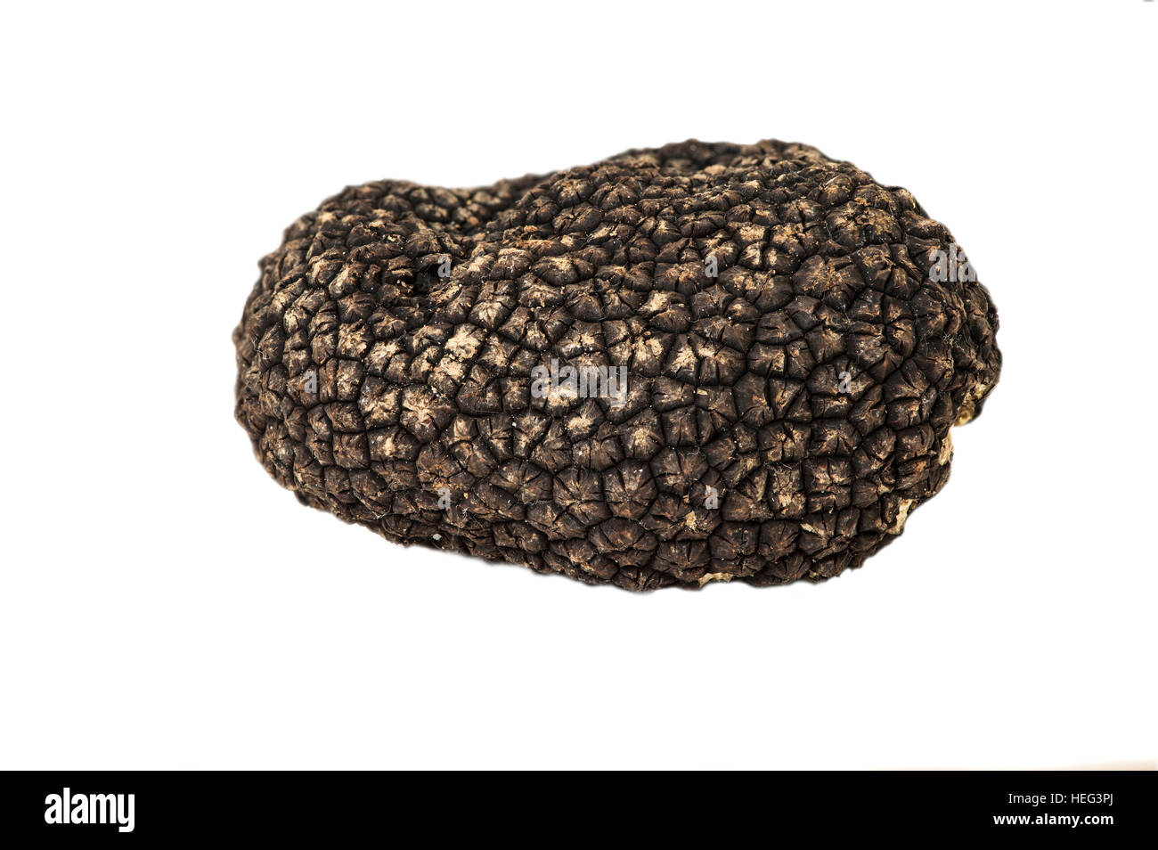 borgona-trufa-trufa-de-verano-tuber-uncinatum-heg3pj.jpg