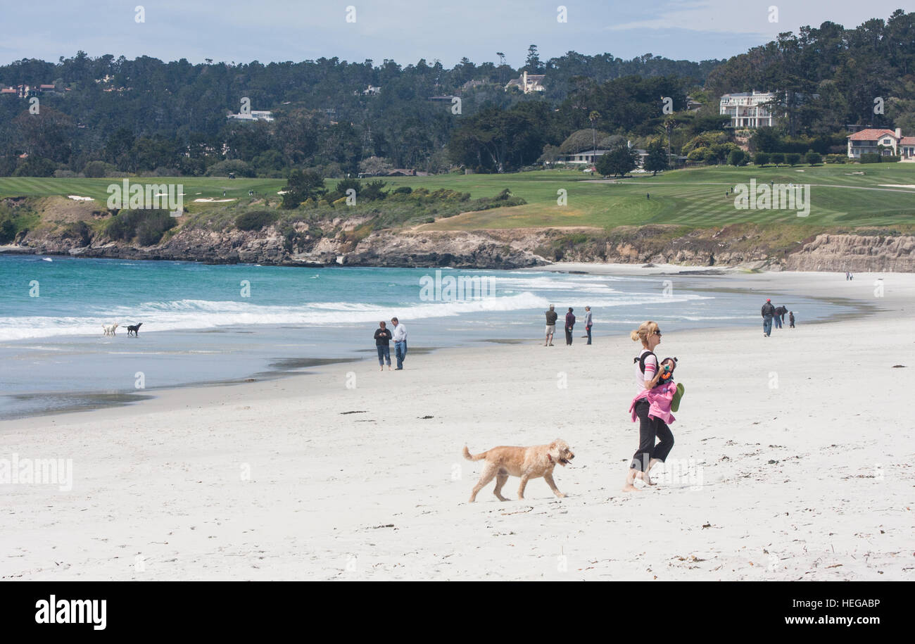 Perro caminando por la playa en Carmelo,National Highway1,Pacific Coast  Highway,PCH, California, Estados Unidos de América, Estados Unidos de  América Fotografía de stock - Alamy