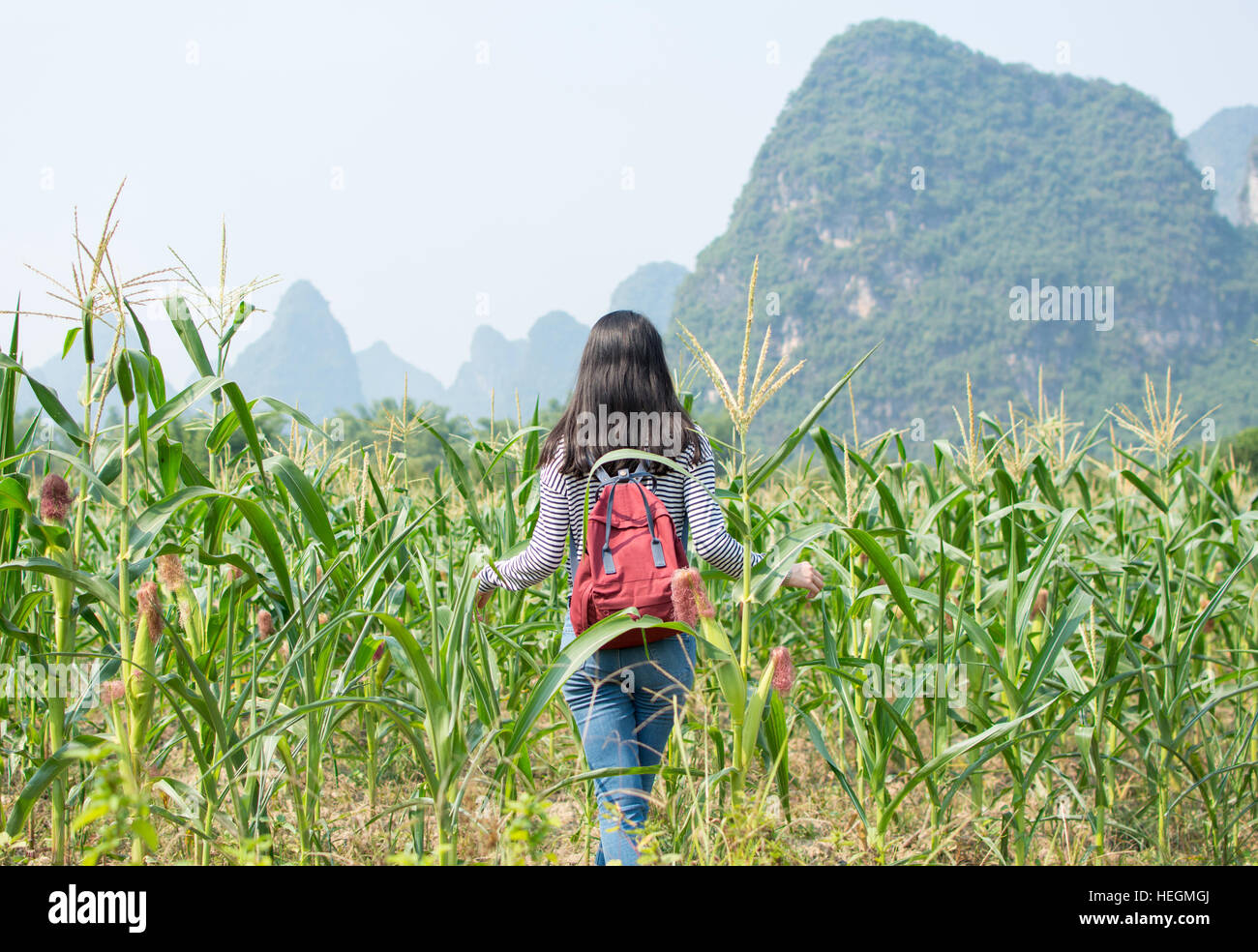 Chica caminando en un campo de maíz con paisajes cársticos Foto de stock