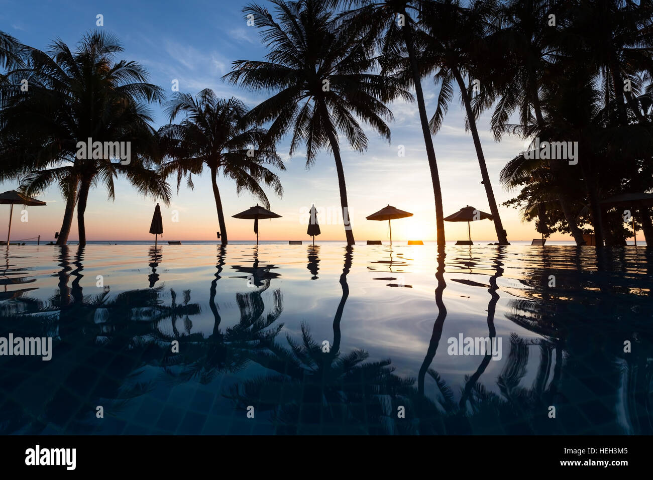 Mar de palmeras con el reflejo en el agua de la piscina en un complejo hotelero de playa, atardecer Foto de stock