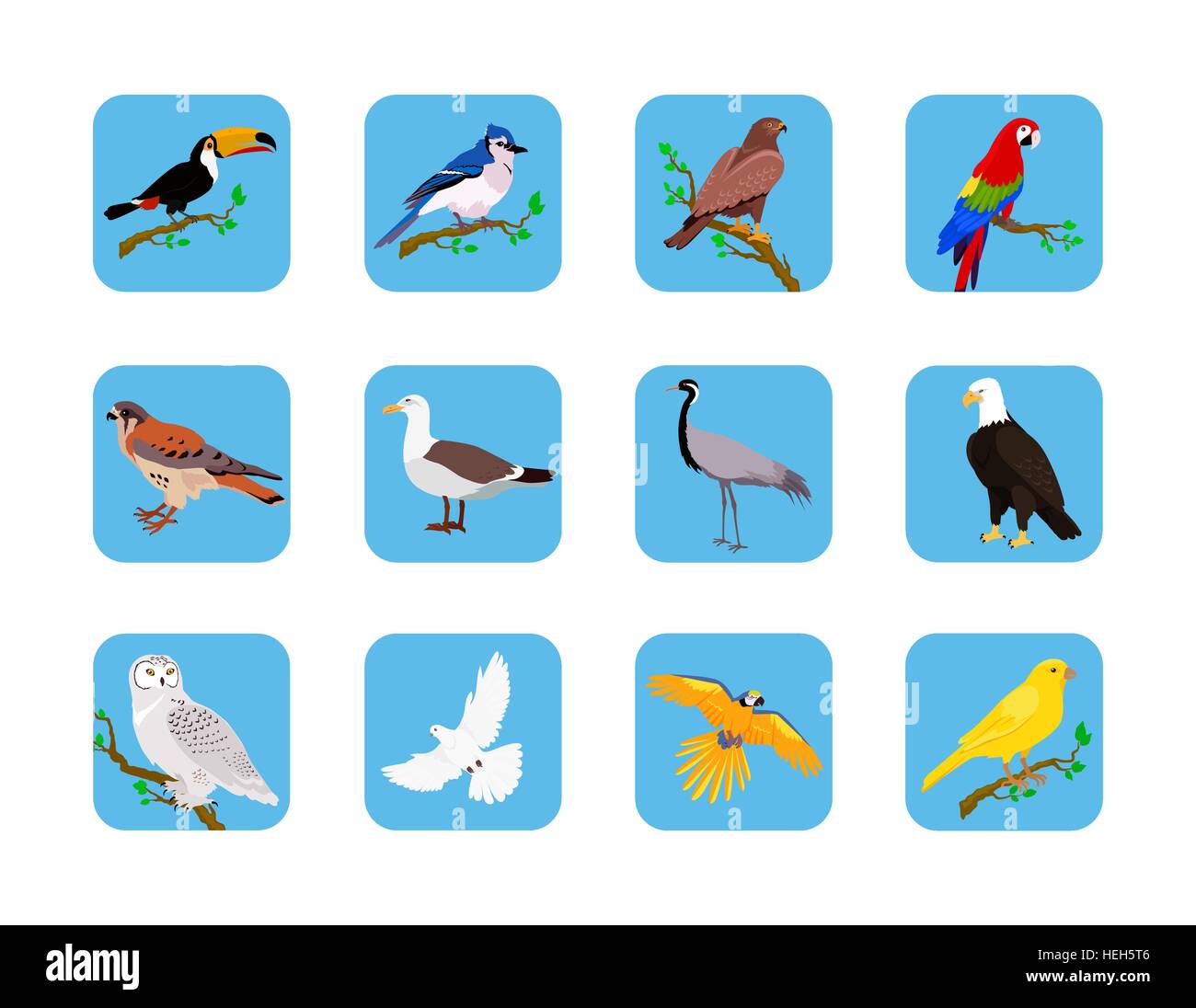 Colección de diversas aves diseño plano. Los pájaros que vuelan, owl y  animales, aves vector, Eagle, fauna silvestre, fauna y caracteres Imagen  Vector de stock - Alamy