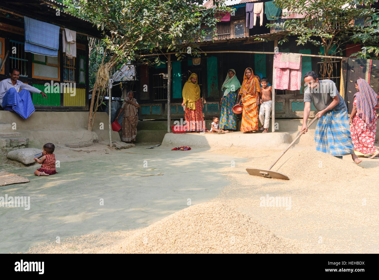 Madhabpasa: Casa de pueblo; el hombre se disemina a arroz seco, la División de Barisal, Bangladesh Foto de stock