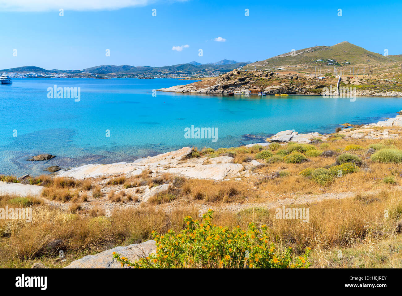Las flores de la primavera en el hermoso Monastiti Bay en la isla de Paros, Grecia Foto de stock