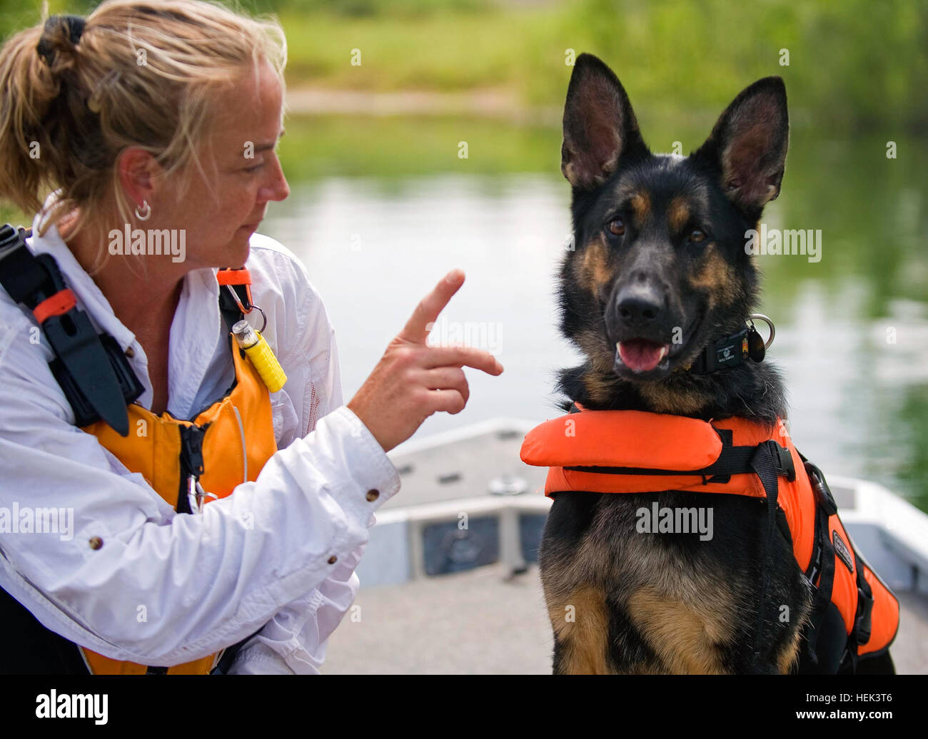 Denice Wethington de New Castle, Indiana, da Brea, su pastor alemán perros  de búsqueda y rescate, los comandos durante un ejercicio de entrenamiento  realizado en el Departamento de Seguridad Nacional de Búsqueda