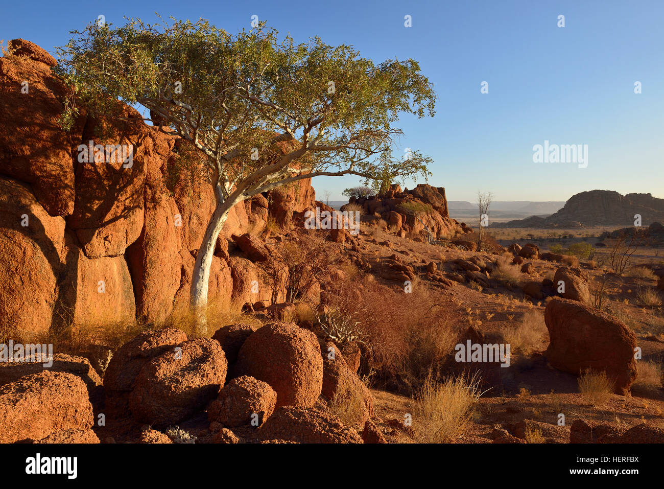 Paisaje de granito, Aba Huab valle, Twyvelfontein, Damaraland, el desierto de Namib, la región de Kunene, Namibia Foto de stock